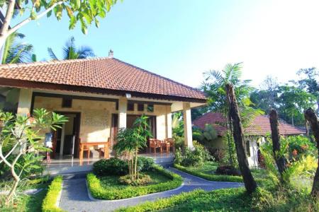 Capung Mas - 35