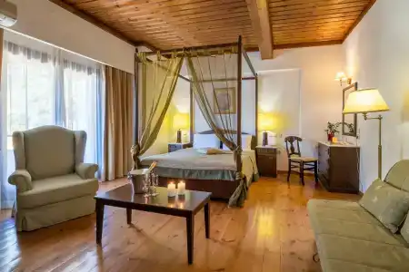 Domotel Anemolia Mountain Resort - 86