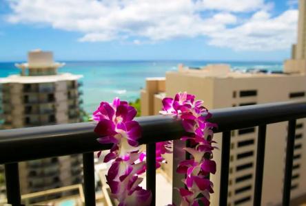 Waikiki Resort - 32
