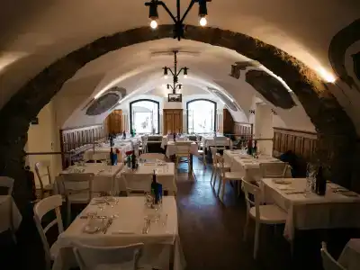 artBlaue Gans - 20