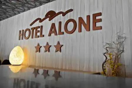 Alone - 25