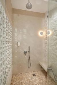 Petri Suites - 28