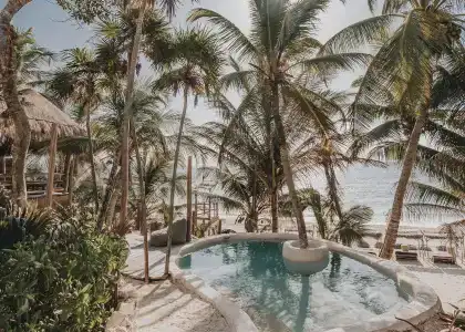 Papaya Playa Project - 40