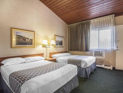 Econo Lodge Village - 46