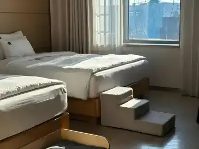 Benikea The Bliss - 6
