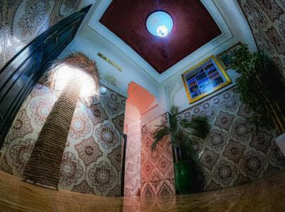 Riad Elias - 13