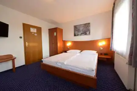 Trollinger Hof - 19