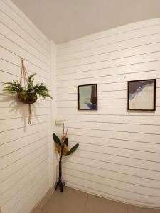 Back Home Backpackers - 2