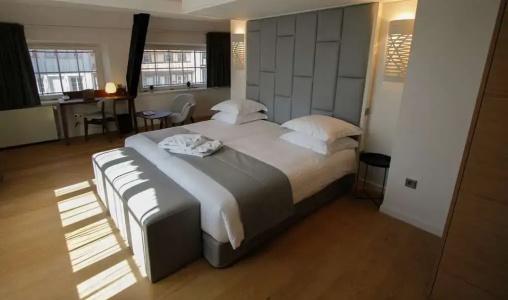 & Spa Regent Petite France - 43