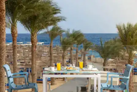Beach Albatros The Club - 2