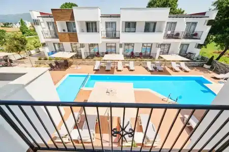 Halibas - 13