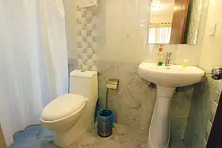Amaryllis - 8