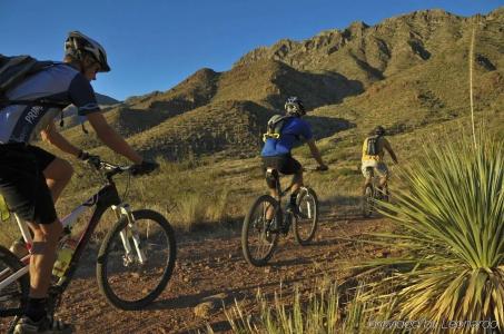 SpringHill Suites by Marriott - 26