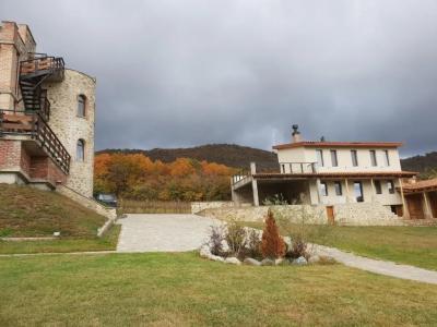 Babaneuris Marani - 91