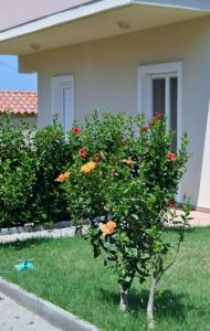 Evdokia Αpartments & Dimitra Village - 100