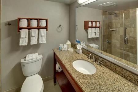 Hampton Inn Miami-Coconut Grove/Coral Gables - 62