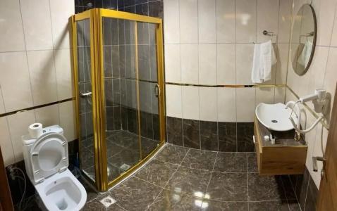 Van Diana Otel - 7