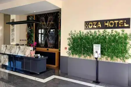 Bursa Koza - 1