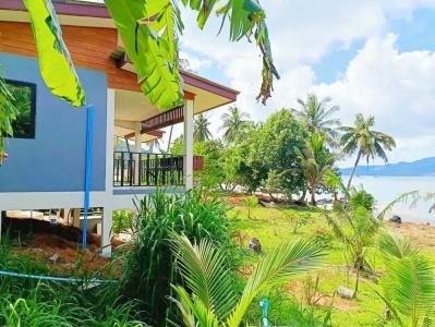 Three Monkeys Bungalows - 25