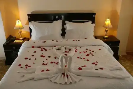 My House - 100