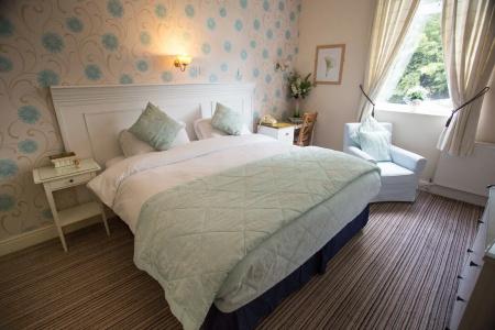 The Ascott - 17