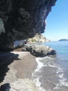 Nomas Living - 9