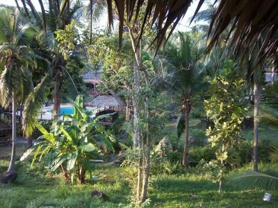 Shiralea Island Resort - 23