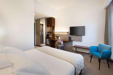 Best Western Hôtel Journel Antibes Juan-les-Pins - 48