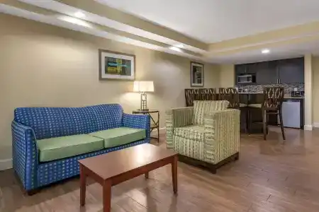 Holiday Inn Resort Orlando - Lake Buena Vista, An Ihg - 60