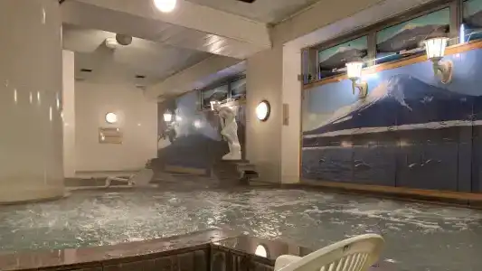 Funabashi Grand Sauna and Capsule - 15