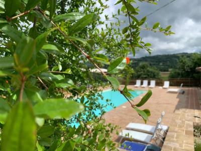 Agriturismo La Palazzetta di Assisi - 32