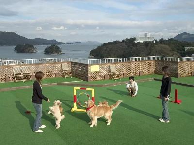 Izumigo Toba Dog Paradise - 49