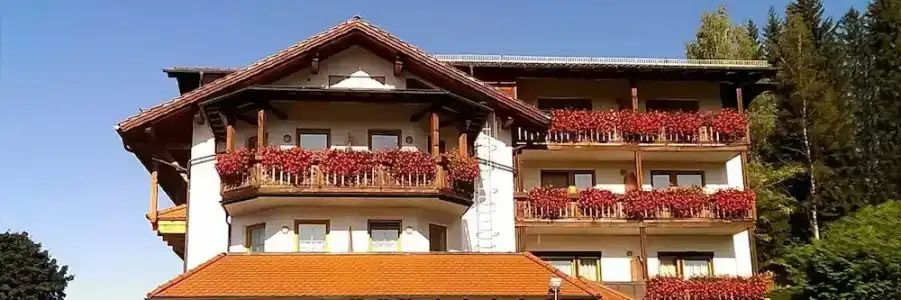 Garnizur Linde - 0