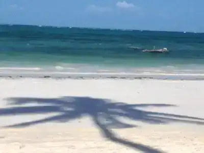Simba Beach Zanzibar - 11