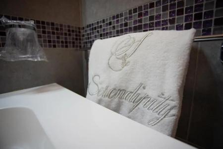 Serendipity B&B - 22
