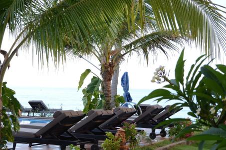 Rang Garden Beach Side - 19