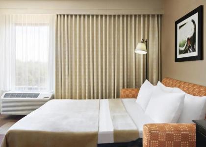 Hampton Inn Dallas-Irving-Las Colinas - 46