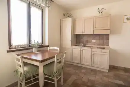 Rosa di Assisi - 131