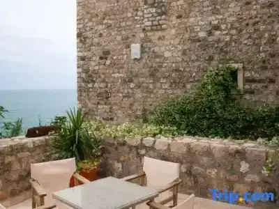 Palata Venezia - 205