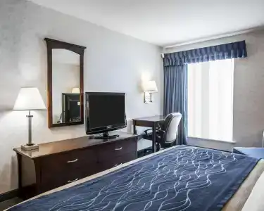 Comfort Inn - 49