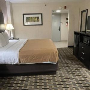 Quality Inn & Suites Downtown - 31
