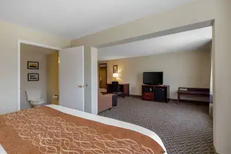 Comfort Inn & Suites SW Houston Sugarland - 6