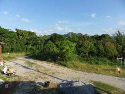 Churaumi Village - 64