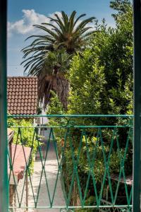 Garden Apartment - 157