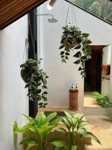 The Place Luxury Boutique Villas - Sha Extra Plus - 70