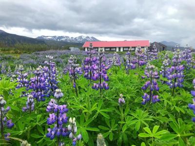 Snaefellsnes Formally Hotel Rjukandi - 16