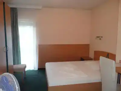 Alfréd Panzió - 29