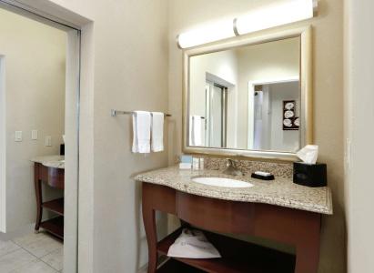 Hampton Inn & Suites I-20 - 9