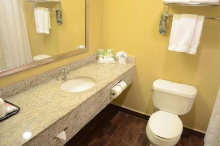 Holiday Inn Express & Suites Houston-Downtown Convention Center, An Ihg - 34