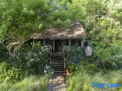 Mango Bay Resort - 312